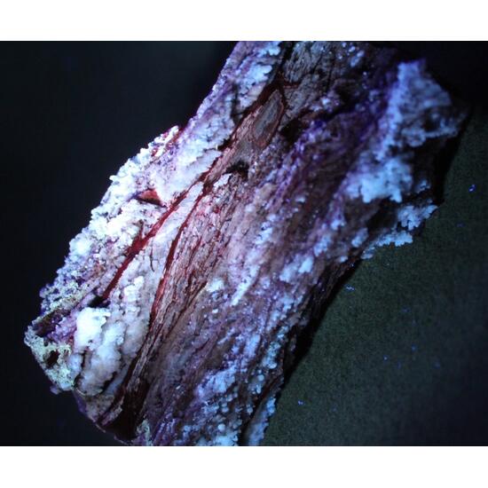 Chalcedony Psm Fossil Wood