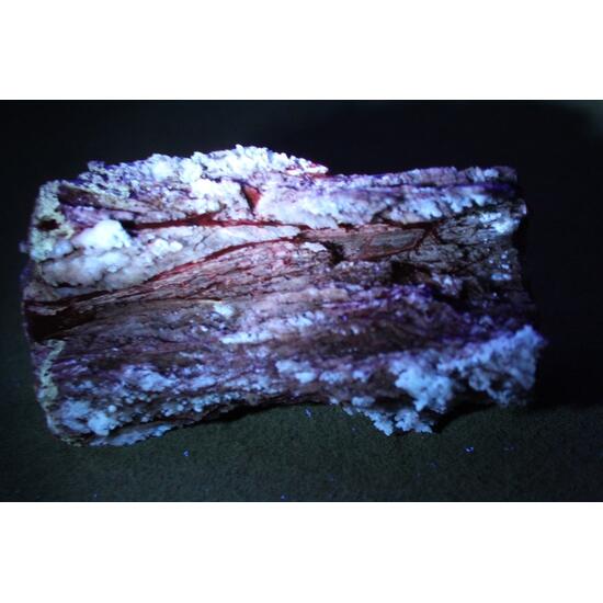 Chalcedony Psm Fossil Wood