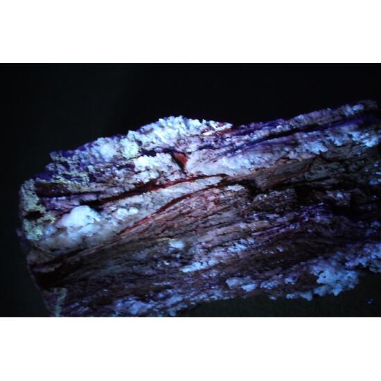 Chalcedony Psm Fossil Wood