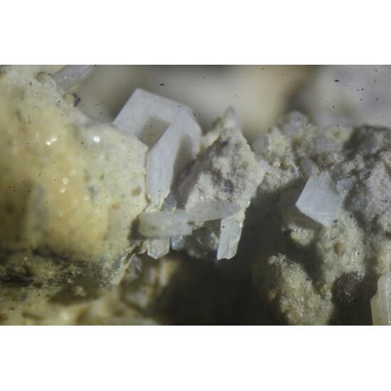 Quartz Psm Tridymite