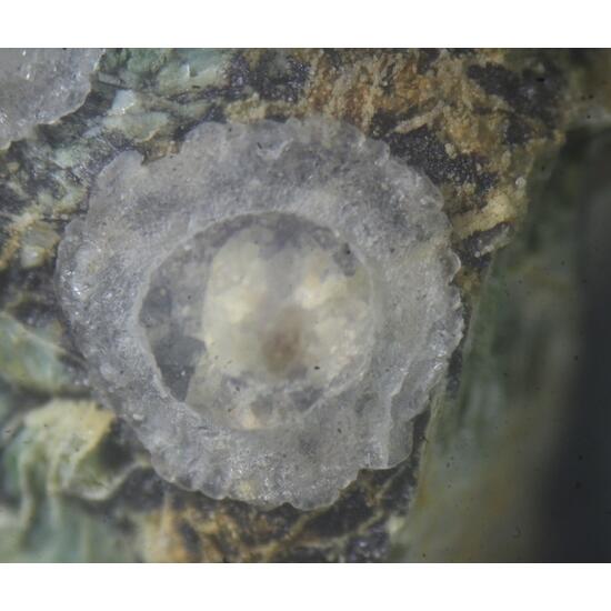 Melanophlogite & Volkonskoite