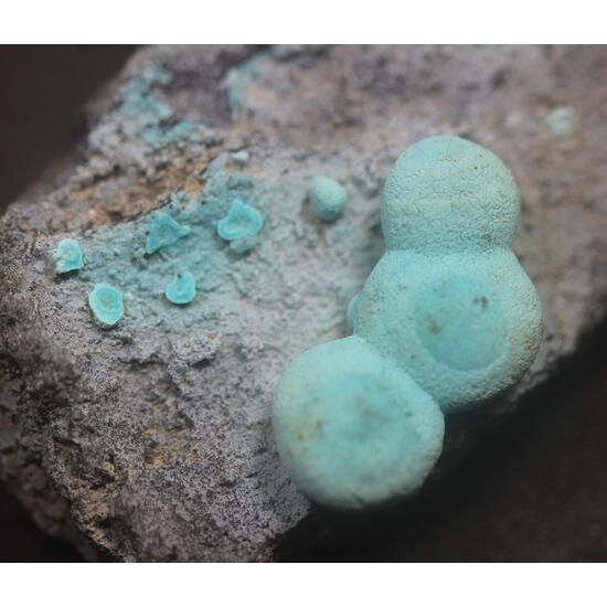 Chrysocolla