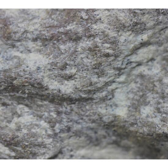 Morimotoite & Perovskite