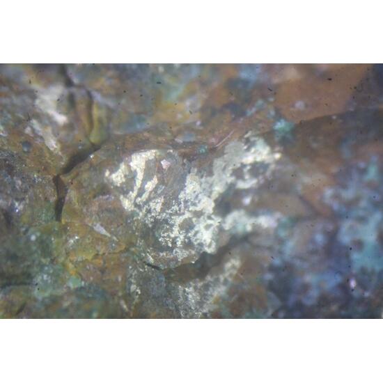 Silver Cuprite & Malachite