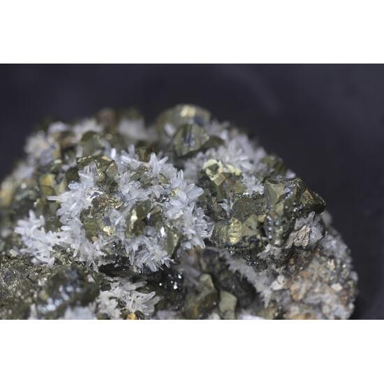 Chalcopyrite & Quartz