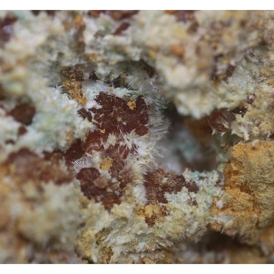 Botryogen & Halotrichite