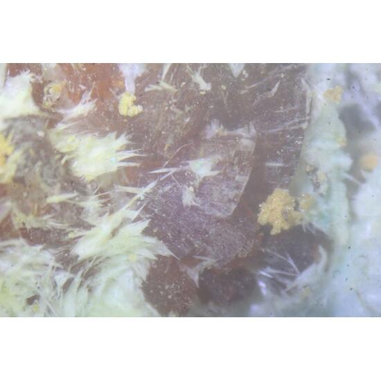 Botryogen & Halotrichite