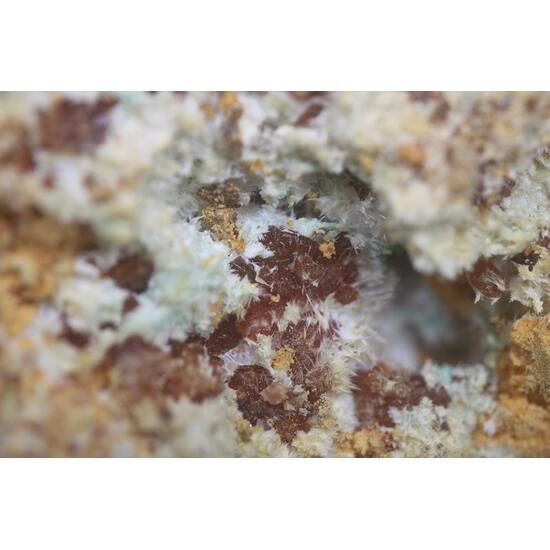 Botryogen & Halotrichite