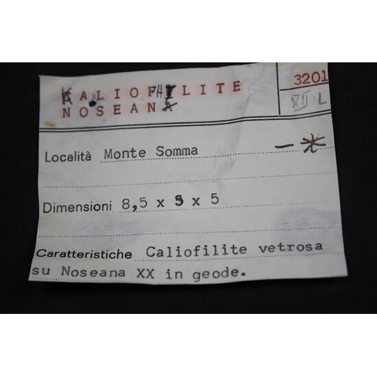 Nosean & Kaliophilite