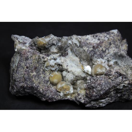 Ferrierite