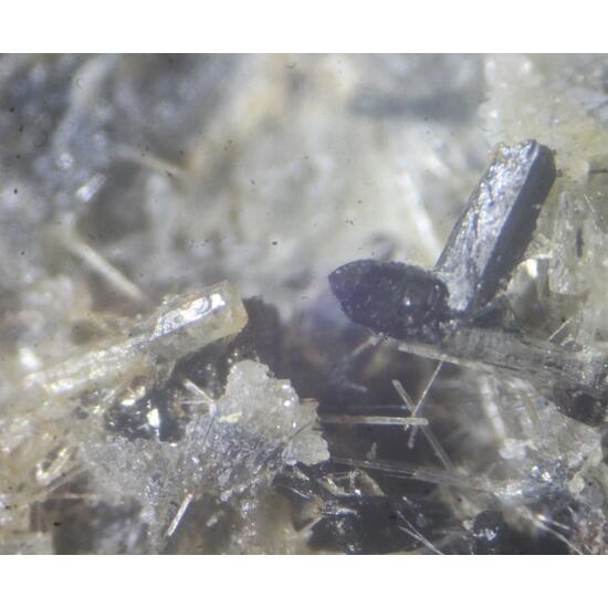 Nepheline Apatite & Hornblende