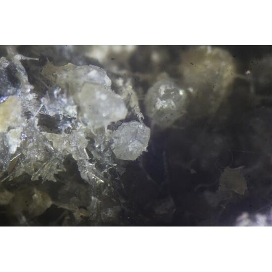 Nepheline Apatite & Hornblende