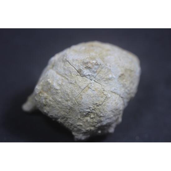 Kutnohorite & Aragonite