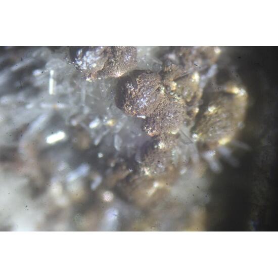 Kutnohorite & Aragonite