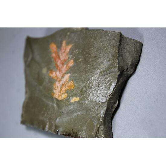 Iron Manganese Dendrites