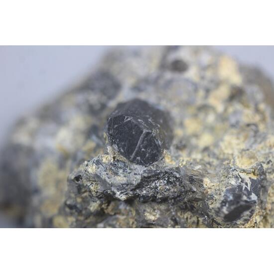 Augite