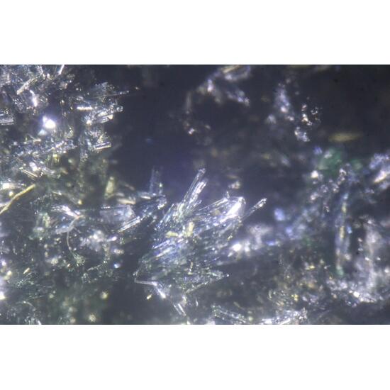 Glaucophane Phengite & Rutile