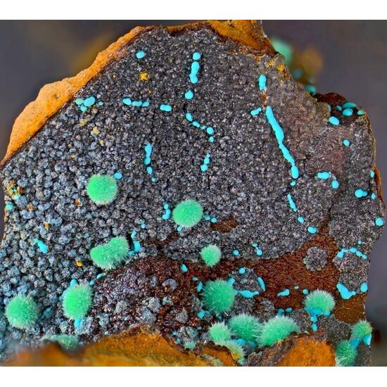 Marioantofilliite Malachite & Allophane