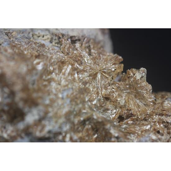 Ganophyllite