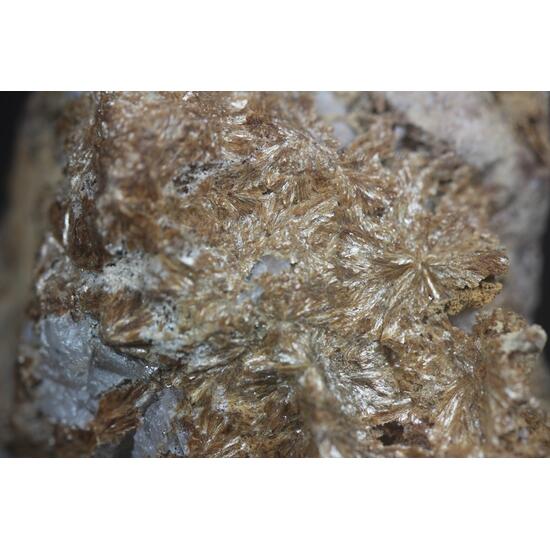 Ganophyllite