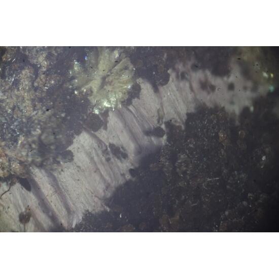 Piemontite Pennantite & Ganophyllite