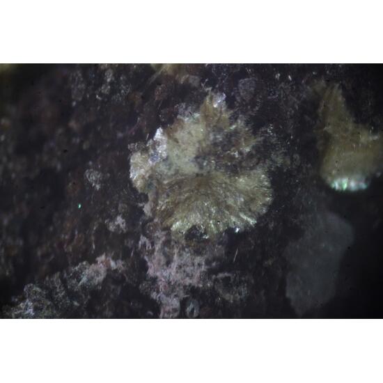 Piemontite Pennantite & Ganophyllite