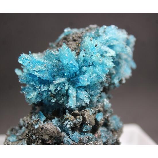 Chalcanthite