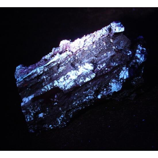 Chalcedony Psm Fossil Wood