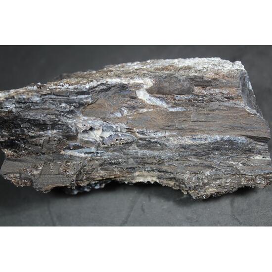 Chalcedony Psm Fossil Wood