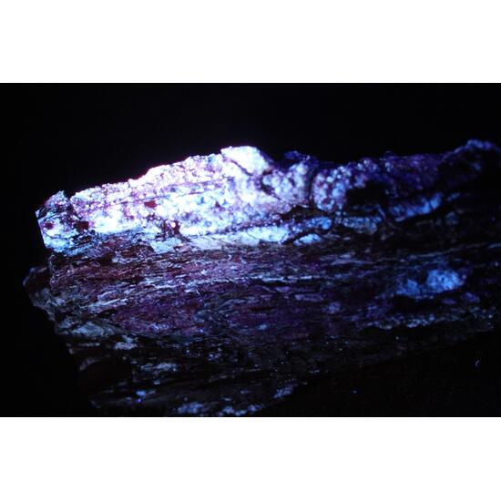 Chalcedony Psm Fossil Wood