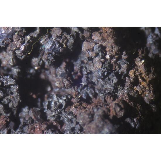 Cuprite