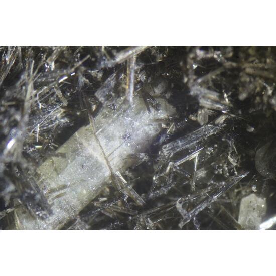 Actinolite & Apatite