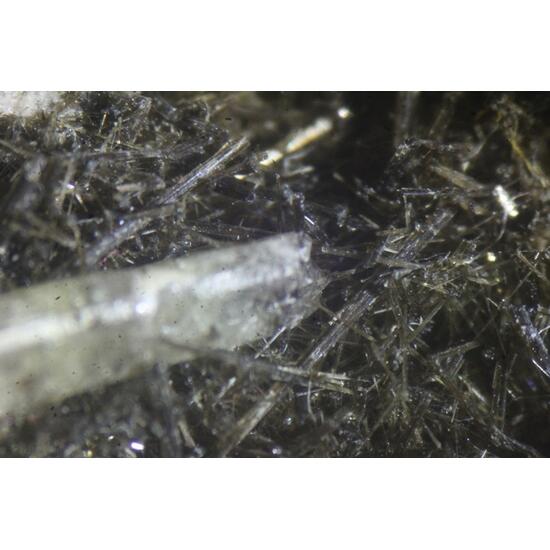 Actinolite & Apatite