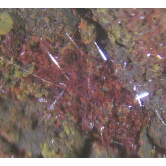 Cuprite Var Chalcotrichite