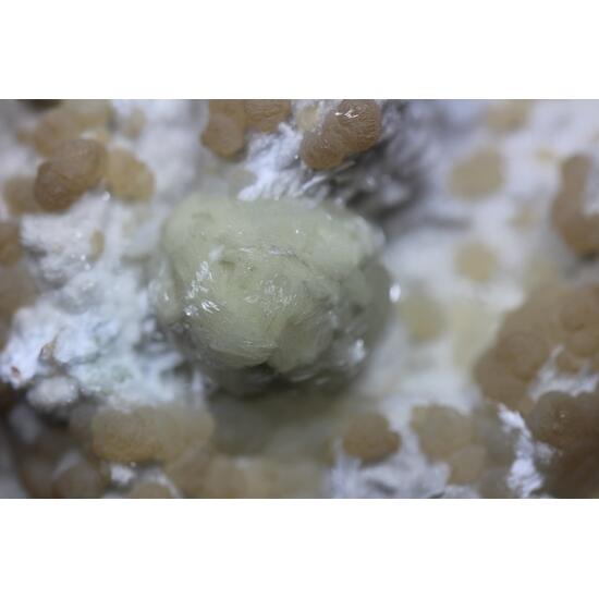 Gyrolite With Prehnite