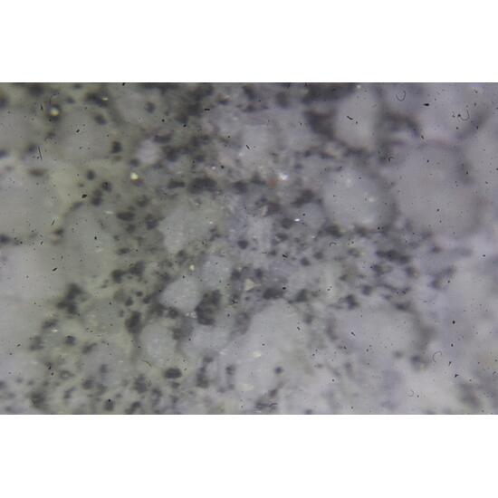 Fayalite Cristobalite In Obsidian