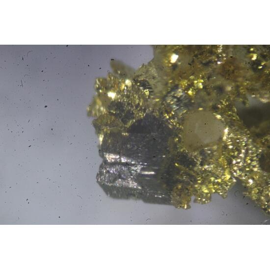 Gold With Pyrite