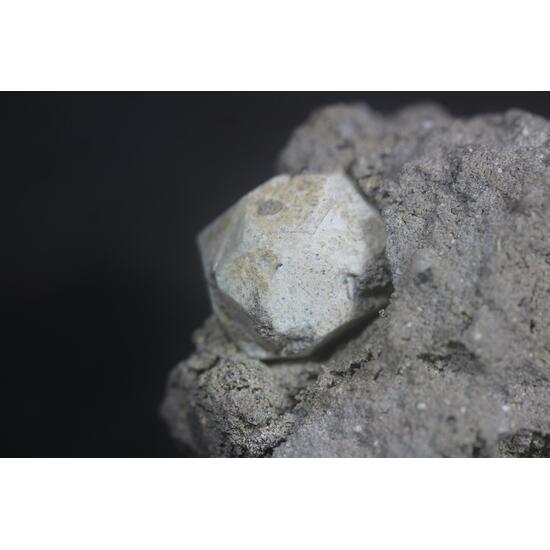 Leucite & Augite
