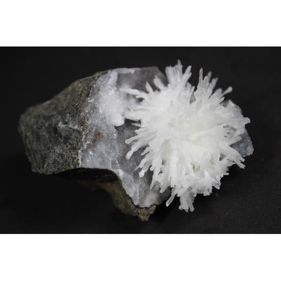 Aragonite