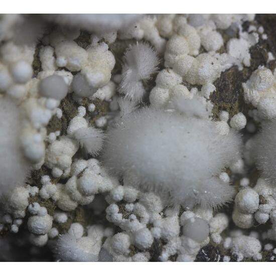 Natrolite With Tacharanite