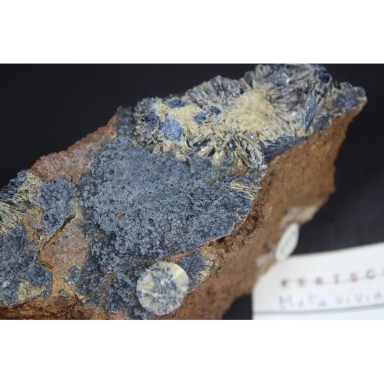 Metavivianite & Vivianite