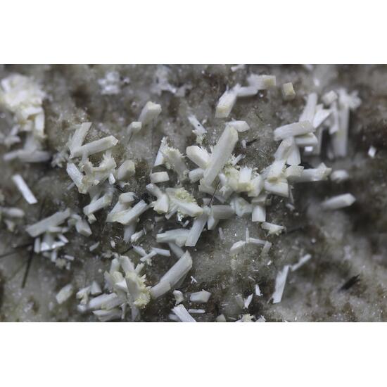 Laumontite With Tourmaline