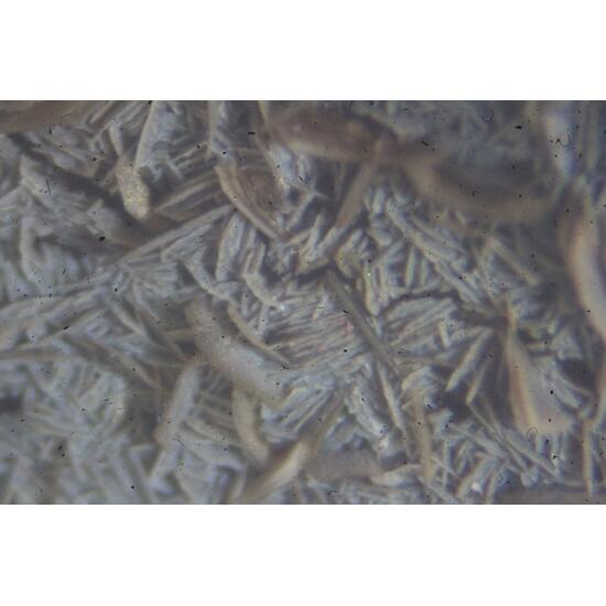 Pennantite & Ganophyllite