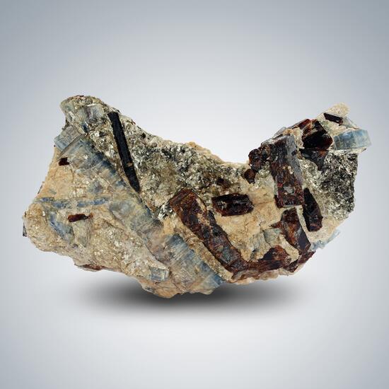 Kyanite & Paragonite & Staurolite