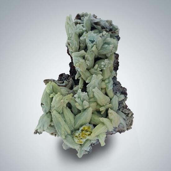 Plumbogummite