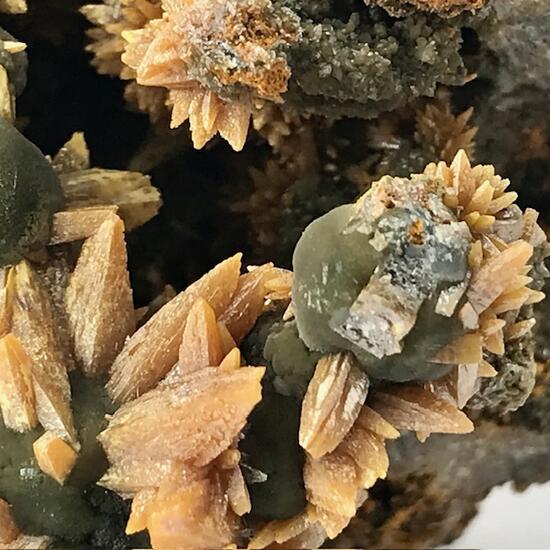 Wulfenite