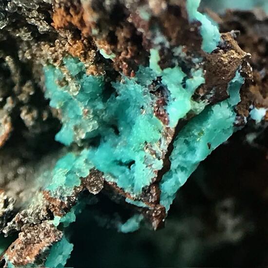 Chrysocolla