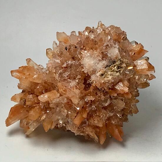 Creedite