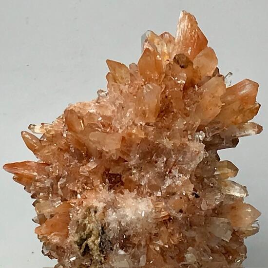 Creedite