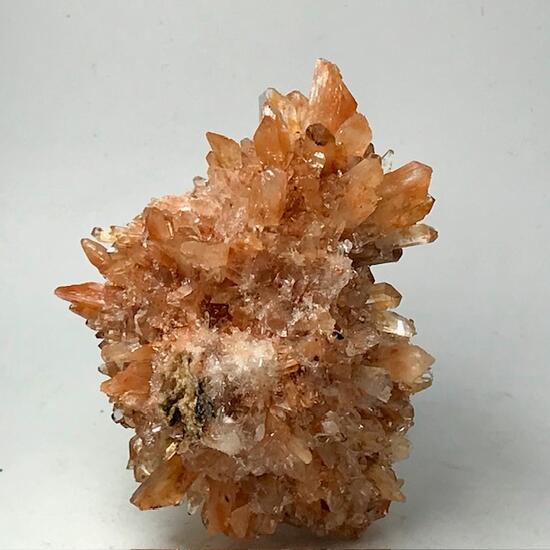 Creedite